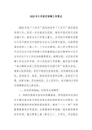 2025年X市医疗保障工作要点