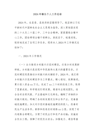 2024年镇长个人工作总结