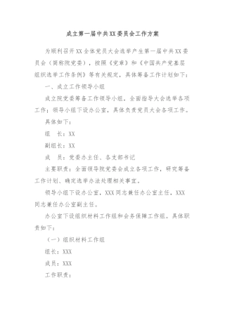 成立第一届中共XX委员会工作方案