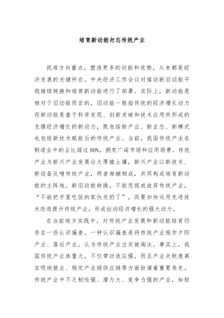 培育新动能勿忘传统产业