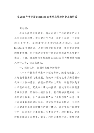 在2025年审计厅DeepSeek大模型应用培训会上的讲话