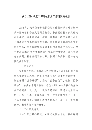 关于2024年度干部选拔任用工作情况的报告
