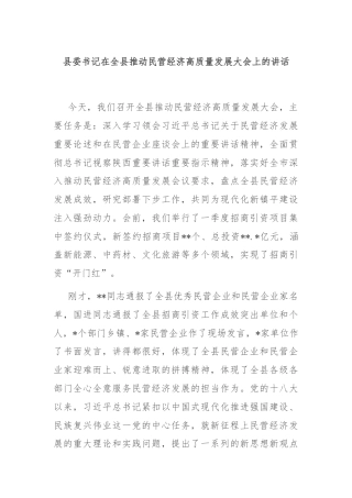县委书记在全县推动民营经济高质量发展大会上的讲话