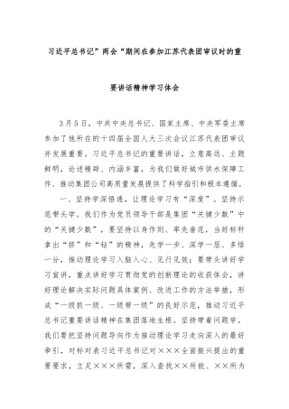 习近平总书记”两会“期间在参加江苏代表团审议时的重要讲话精神学习体会