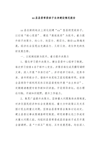 xx县县委常委班子自身建设情况报告