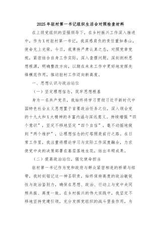 2025年驻村第一书记组织生活会对照检查材料