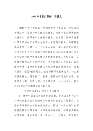 2025年市医疗保障工作要点