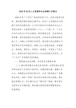 2025年区人力资源和社会保障工作要点