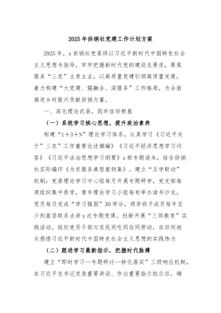 2025年供销社党建工作计划方案