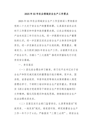2025年XX市农业领域安全生产工作要点