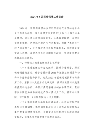 2024年X区医疗保障工作总结