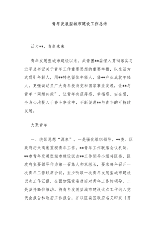 青年发展型城市建设工作总结
