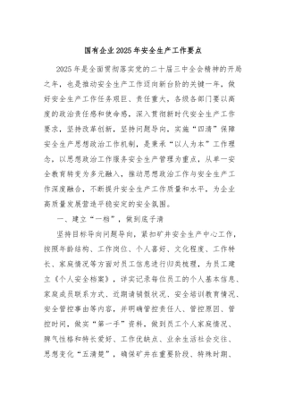 国有企业2025年安全生产工作要点