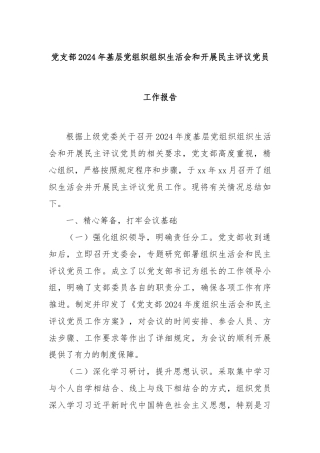党支部2024年基层党组织组织生活会和开展民主评议党员工作报告