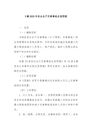 X镇2025年安全生产灾害事故应急预案