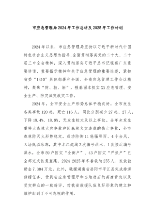 市应急管理局2024年工作总结及2025年工作计划