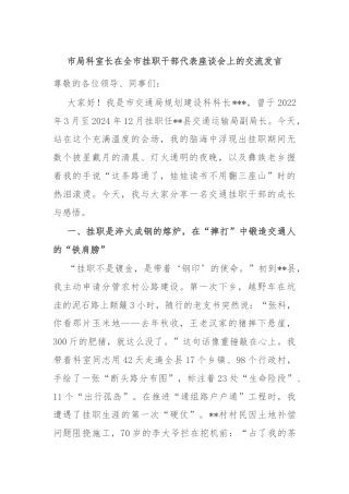 市局科室长在全市挂职干部代表座谈会上的交流发言