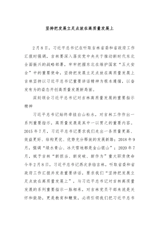 坚持把发展立足点放在高质量发展上