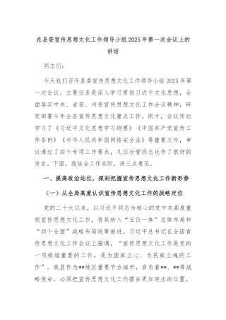 在县委宣传思想文化工作领导小组2025年第一次会议上的讲话