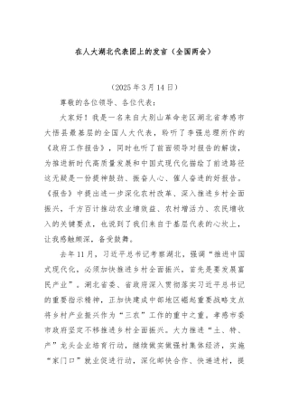 在人大湖北代表团上的发言（全国两会）