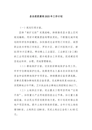 县自然资源局2025年工作计划