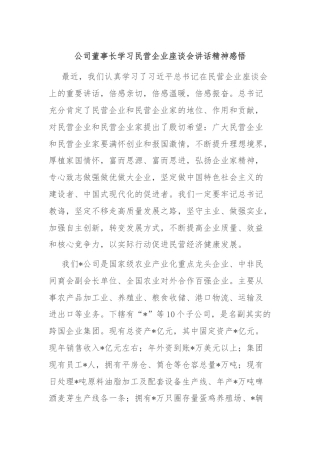 公司董事长学习民营企业座谈会讲话精神感悟