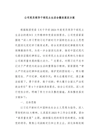 公司党员领导干部民主生活会整改落实方案