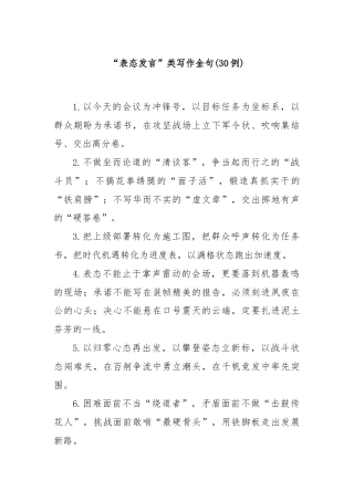 (30例)“表态发言”类写作金句