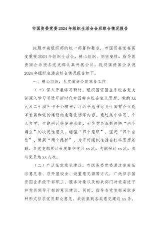 市国资委党委2024年组织生活会会后综合情况报告