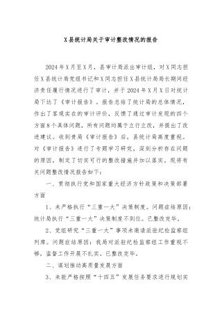 X县统计局关于审计整改情况的报告