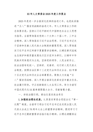 XX市人大常委会2025年度工作要点