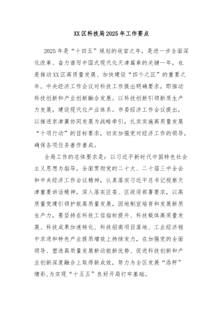 XX区科技局2025年工作要点