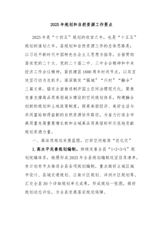 2025年规划和自然资源工作要点