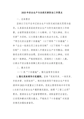 2025年安全生产与自然灾害防治工作要点