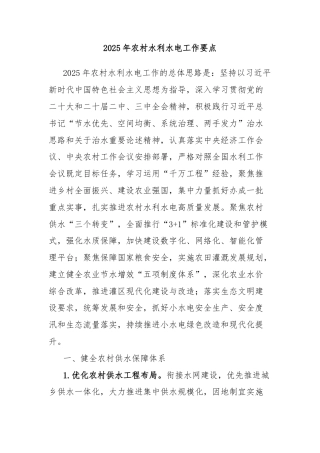 2025年农村水利水电工作要点
