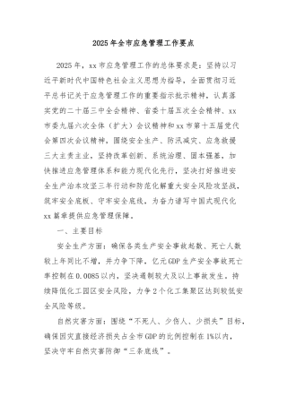 2025年全市应急管理工作要点