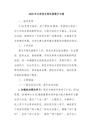 2025年五好党支部巩固提升方案