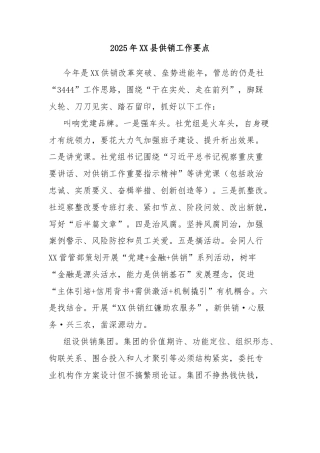 2025年XX县供销工作要点