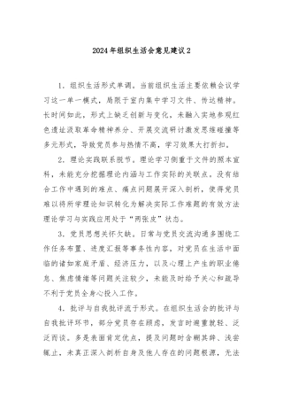 2024年组织生活会意见建议2