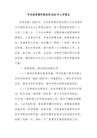 市自然资源和规划局2025年工作要点