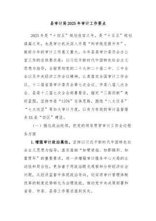 县审计局2025年审计工作要点