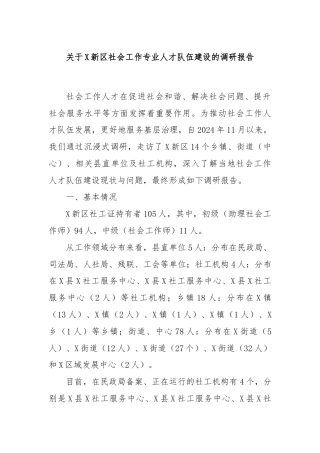 关于X新区社会工作专业人才队伍建设的调研报告
