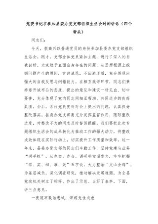 党委书记在参加县委办党支部组织生活会时的讲话（四个带头）