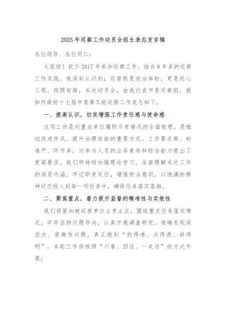 2025年巡察工作动员会组长表态发言稿