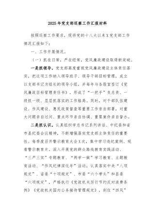 2025年党支部巡察工作汇报材料