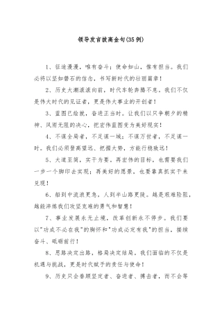 (35例)领导发言拔高金句
