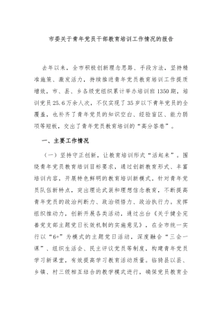 市委关于青年党员干部教育培训工作情况的报告