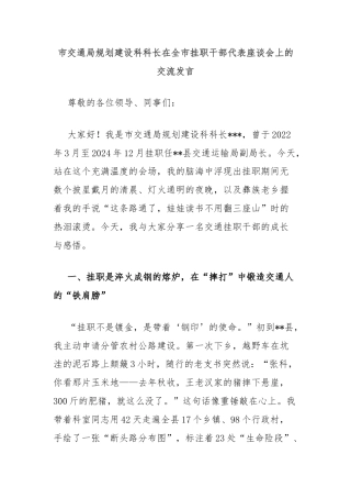 市交通局规划建设科科长在全市挂职干部代表座谈会上的交流发言
