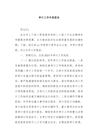 审计工作年度报告