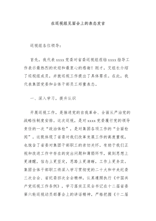 在巡视组见面会上的表态发言